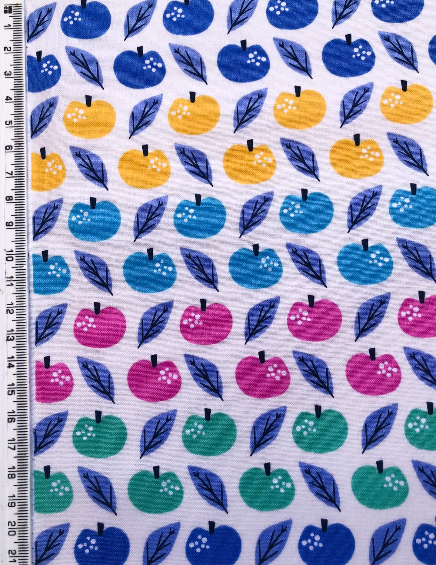 Dashwood Studio Apple Fabric - Lost Treasures Collection
