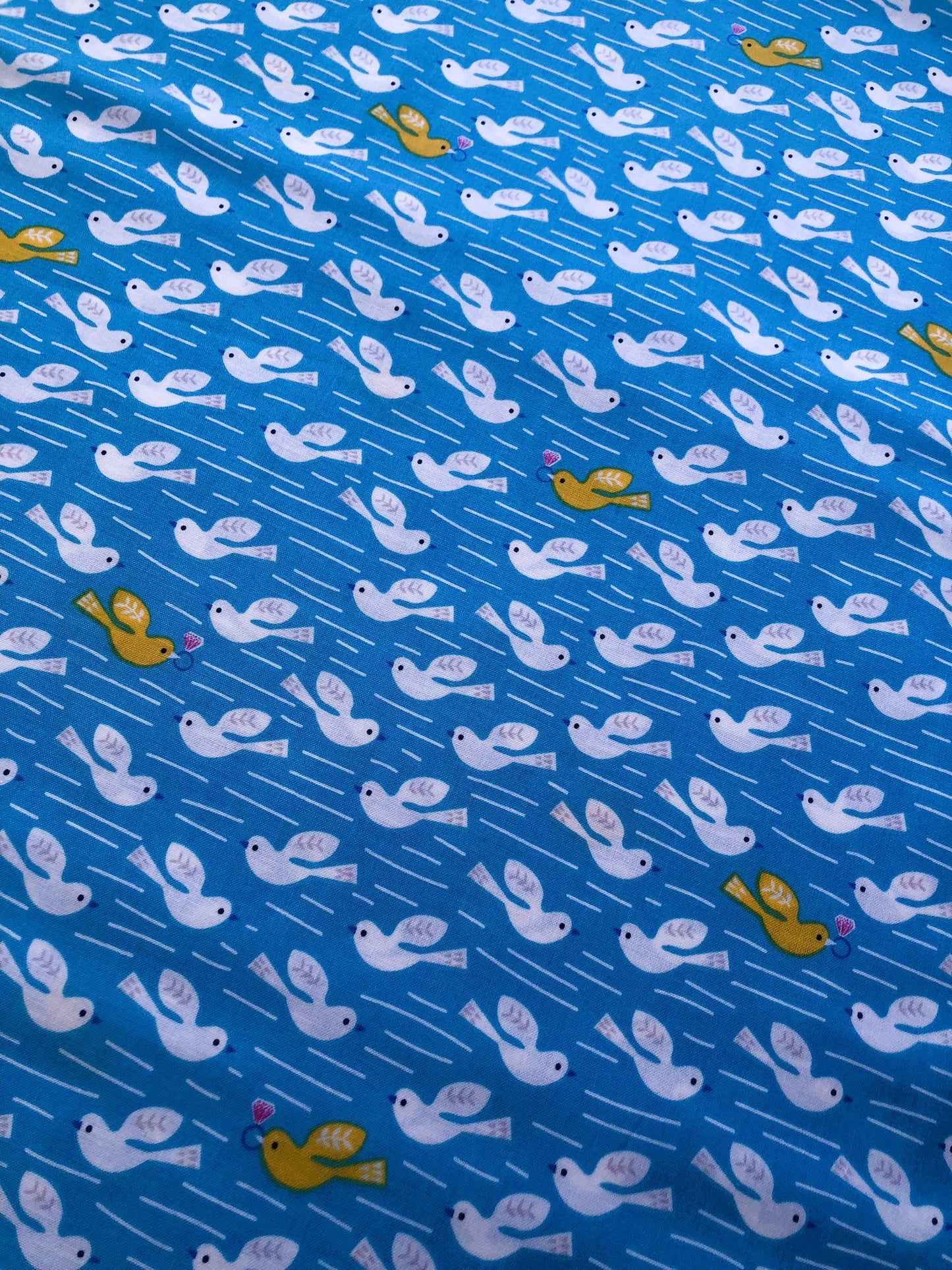 Dashwood Studio Fabric - Lost Treasures Collection