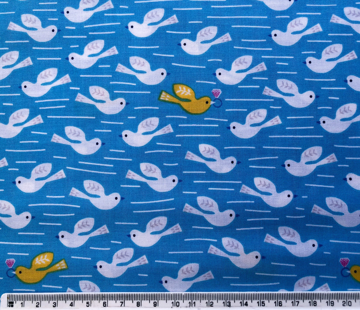 Dashwood Studio Fabric - Lost Treasures Collection